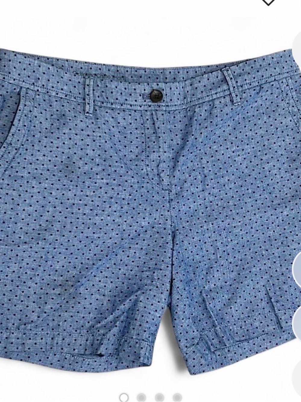 Talbots Blue Polka Dot Women’s Shorts